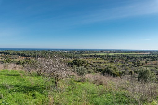 Vistas panorámicas