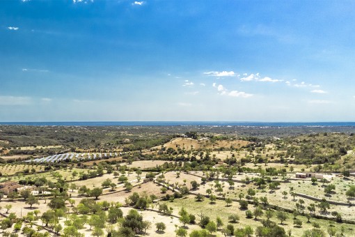 Vistas panorámicas