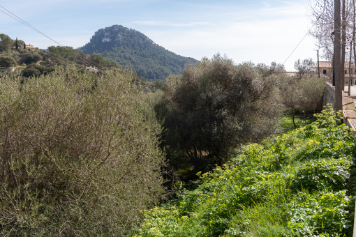 Terreno separado