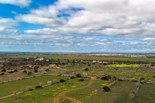 Vistas lejanas sobre el paisaje