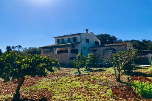 Finca en Llubi