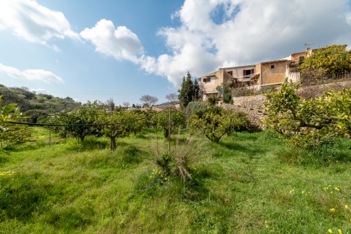 Casa en Alaro para vender