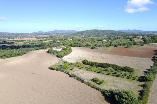 Vista al terreno