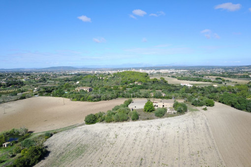 Estupenda parcela para construir un hotel de agroturismo en Manacor