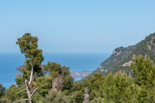 Vistas panorámicas al mar