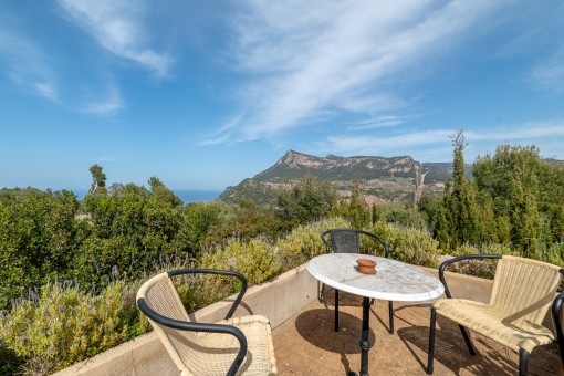Terraza 