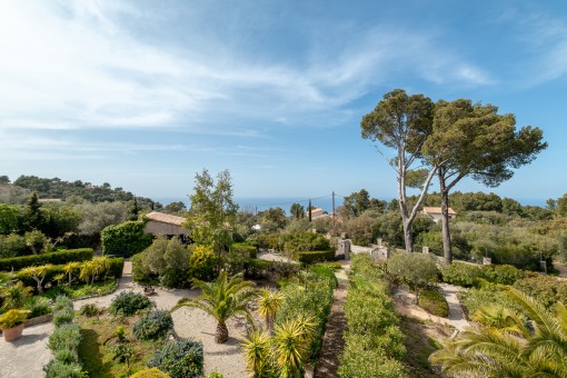 Vistas sobre el terreno