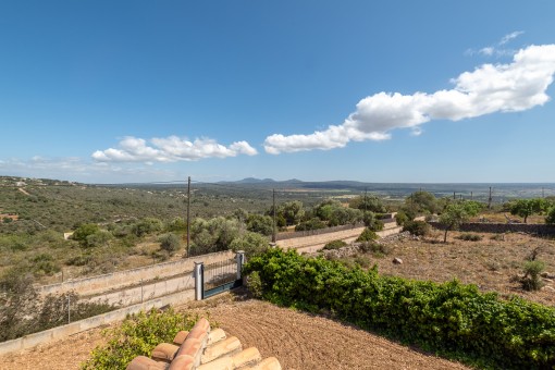 Vista
