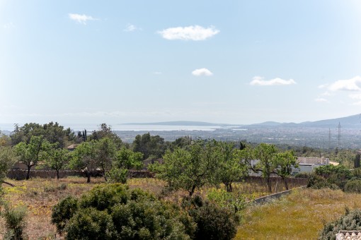 Vistas panorámicas