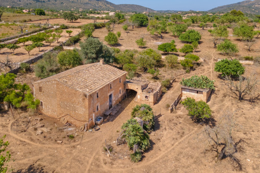 Finca en San Lorenzo