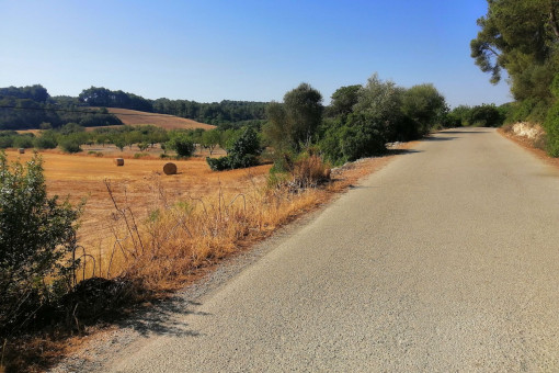 Vista al terreno