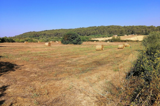 Vista al terreno