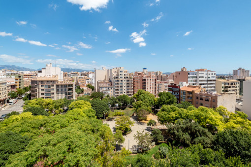 Vistas al parque