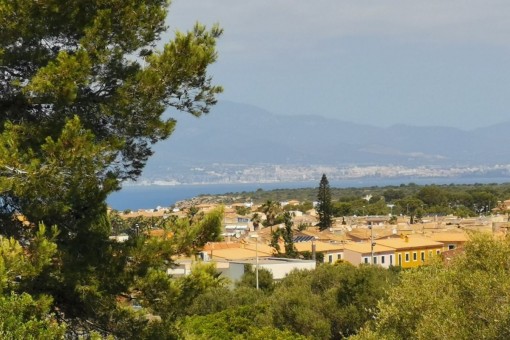 Vista desde el terreno