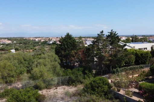 Vista desde el terreno