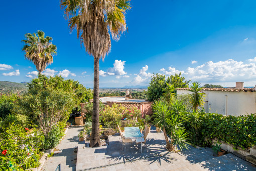 Terraza