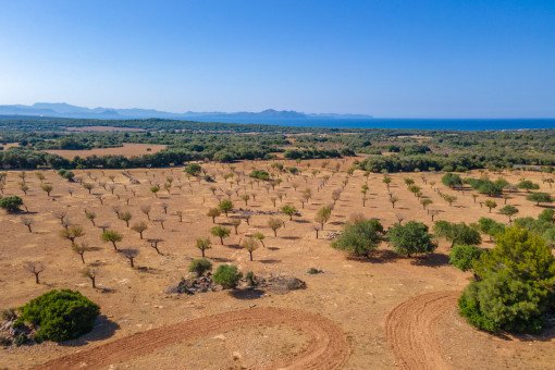 Amplio terreno con vistas despejadas de aproximadamente 500 hectáreas