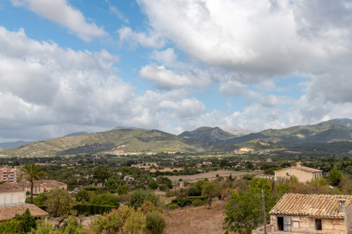 Vista