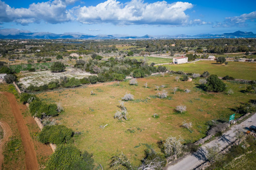 Solar en Santa Margalida