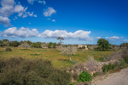 Parcela