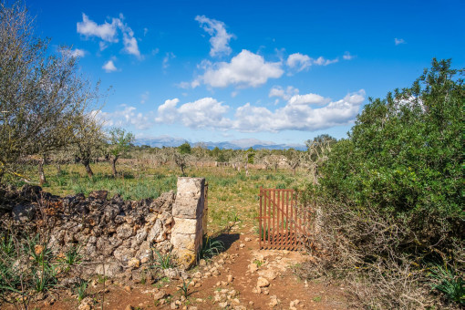 Parcela