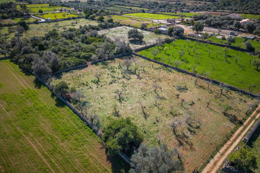 Parcela
