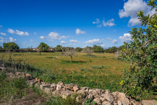 Parcela