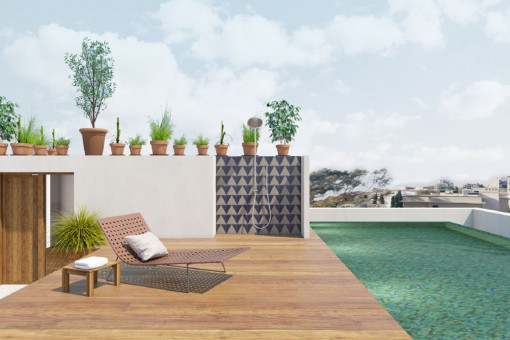Piscina y terraza 