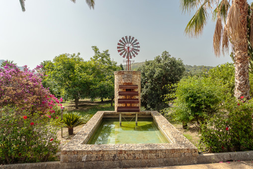 Jardín maduro y molino