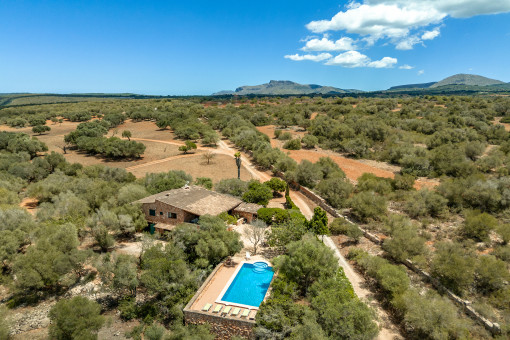 Finca