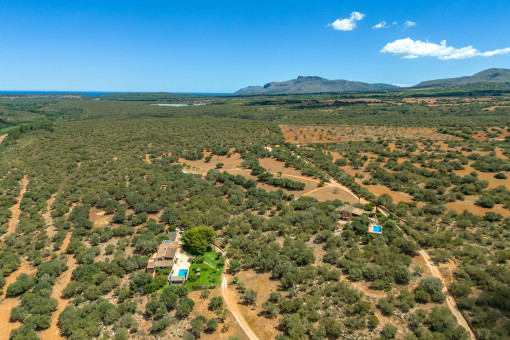 Finca