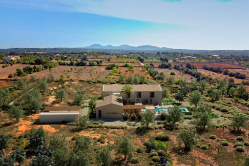 Finca en Ses Salines para vender