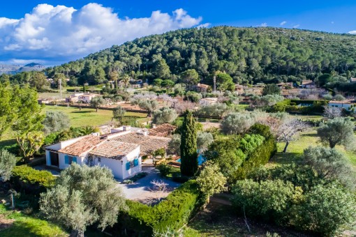 Finca desde arriba