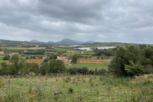 Vista del terreno