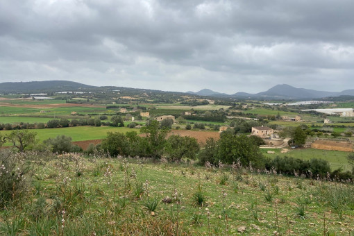 Solar en Manacor-Norte