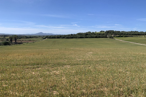 Terreno con projecto