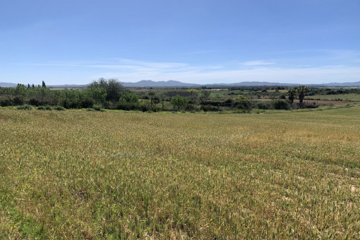 Terreno con projecto