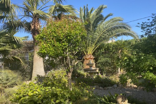 Vista al jardín idílico