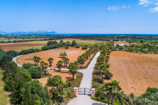 Vista desde arriba