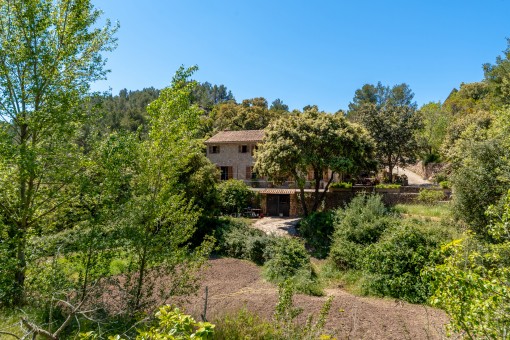 Estupenda finca dividida en 2 viviendas en paraje natural y privado de la Sierra de Tramuntana