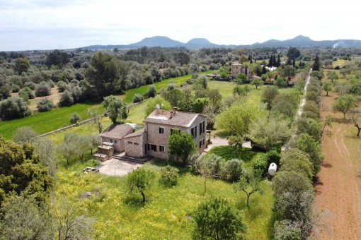 Finca en Algaida para vender