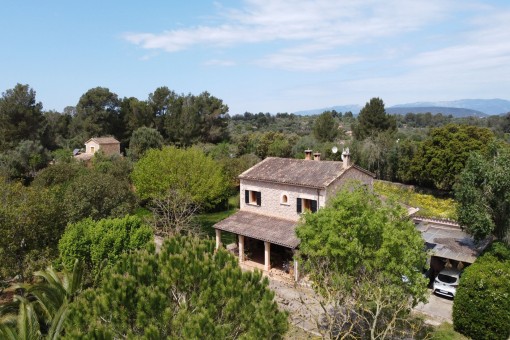 Finca