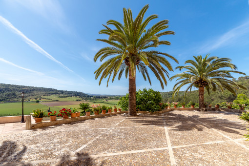 Terraza y vista
