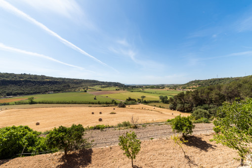 Vistas panorámicas