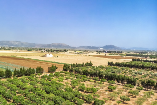 Vistas panorámicas