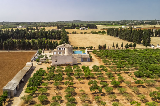 Finca y terreno