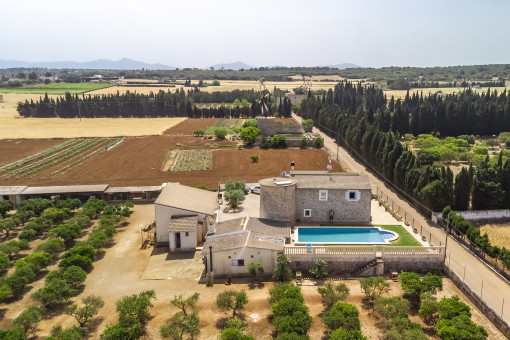 Finca y terreno