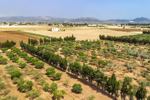 Terreno