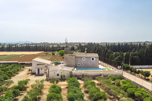 Finca y terreno