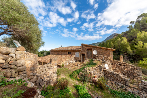 Finca y terreno